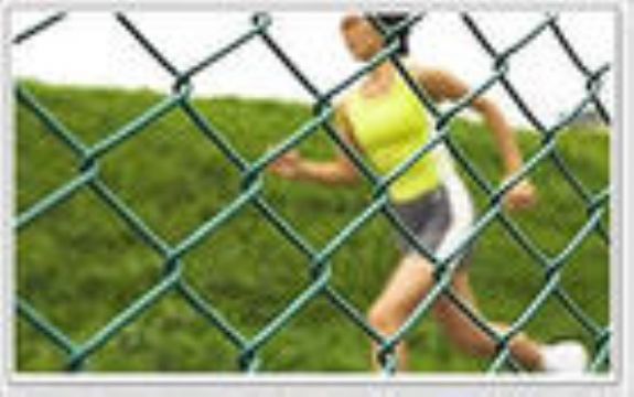 Chain Link Fence